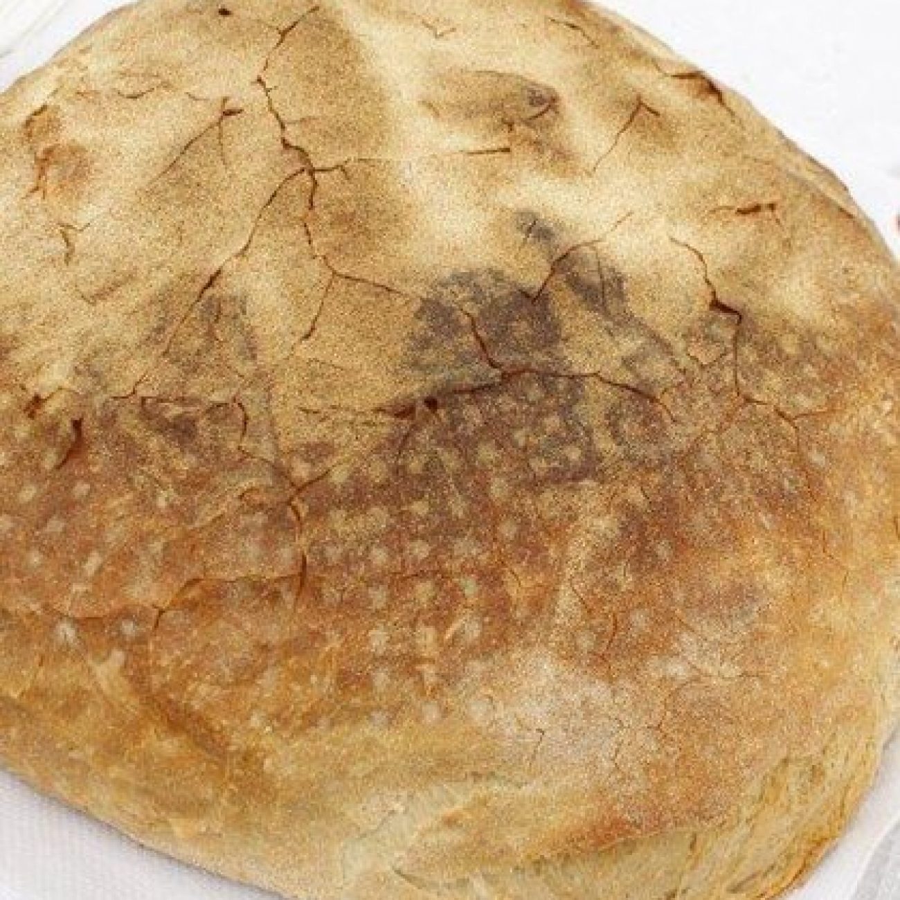 Pane civraxiu